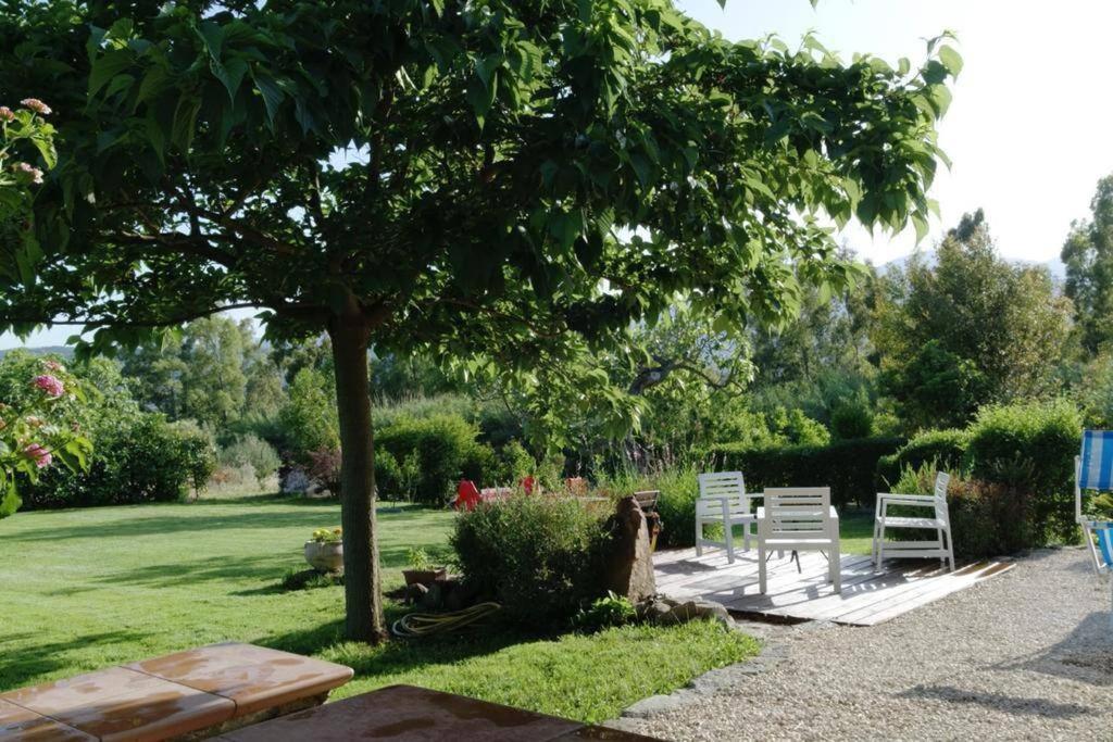 Countryside Villa In Sardinia Triei Exterior photo